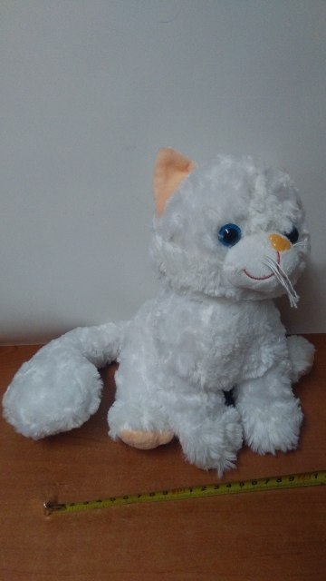 Kot z dźwiękiem K0967