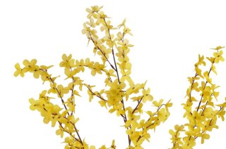 Kwiat sztuczny forsycja x 38 gałązek 98cm. 16CAN15Q005