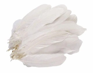 Pióra naturalne gęsi 15 gram