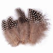 Pióra naturalne perliczki krótkie 10 gram