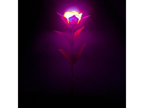 Kwiat róża świecąca LED 0276